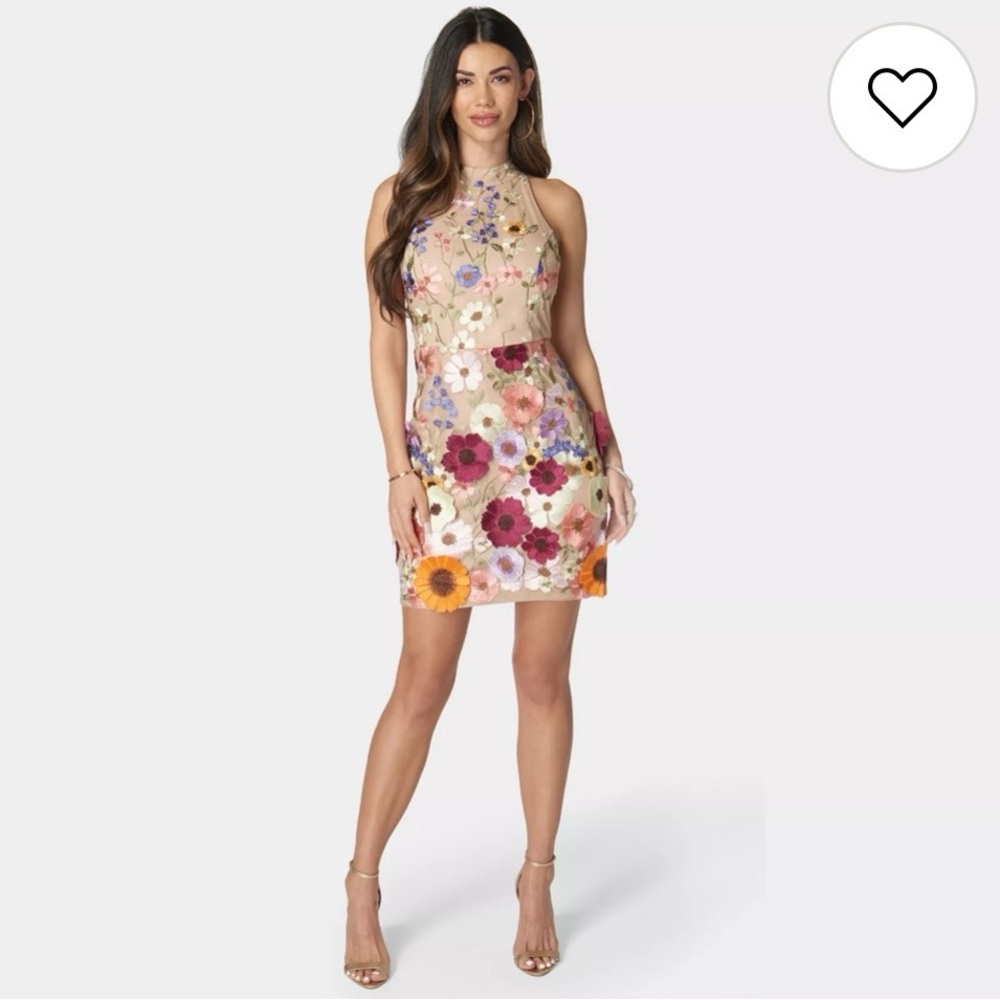 Floral Appliqué Sleeveless Mini Dress